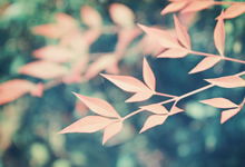 霍芬海姆客场一战全胜，继续领跑积分榜！