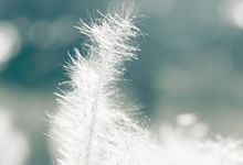 策略犹如棋盘上的战局，精彩绝伦