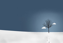 格鲁吉亚选手实现突破，勇夺桂冠